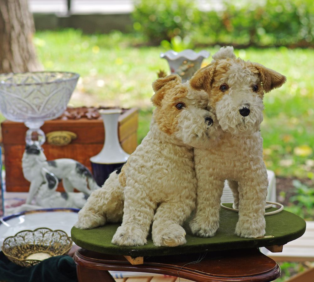 Question of the Week